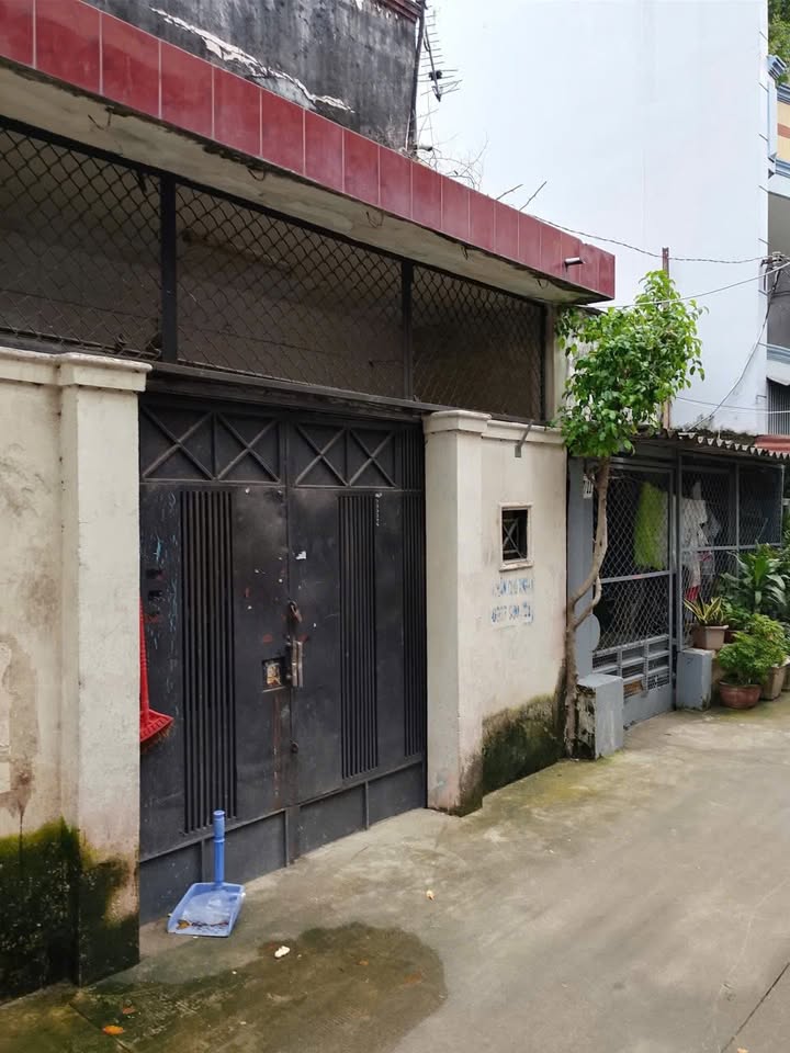 Nhà Bán Bùi Minh Trực, P5, Q8 - 56.03m² giá 6.5 tỷ - Tiện xây mới theo ý thích!
