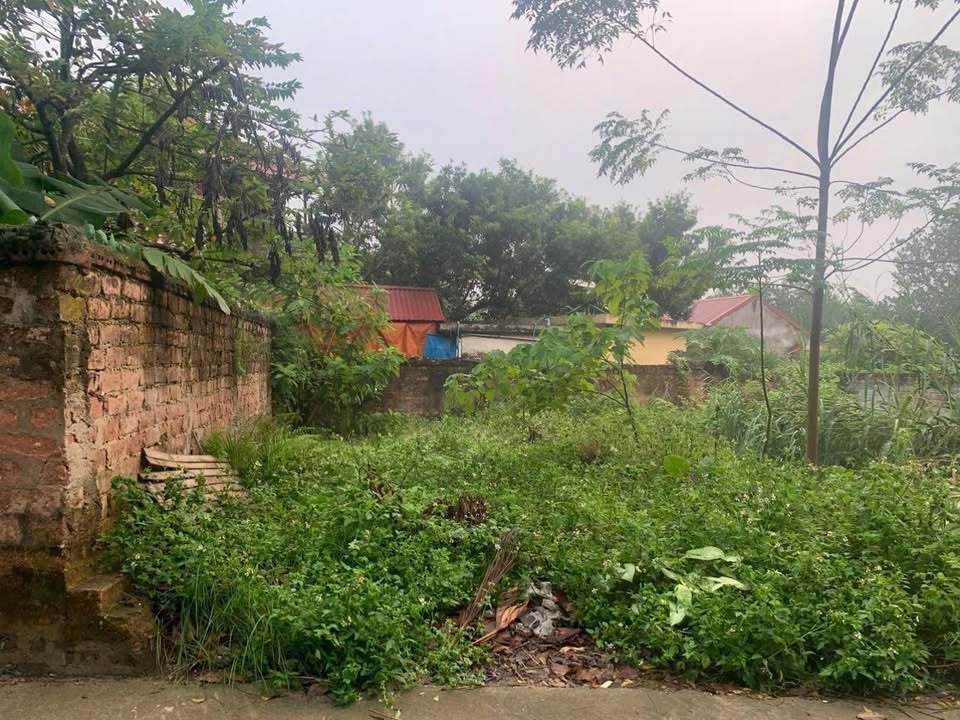 Đất nền Ái Mỗ, Sơn Tây 52m² giá 1.6 tỷ - Ô tô tận đất, vị trí đẹp!