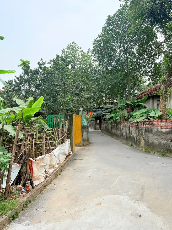 Đất nền Hát Môn, Phúc Thọ 46m² - Đầu tư sinh lời, giá tốt!