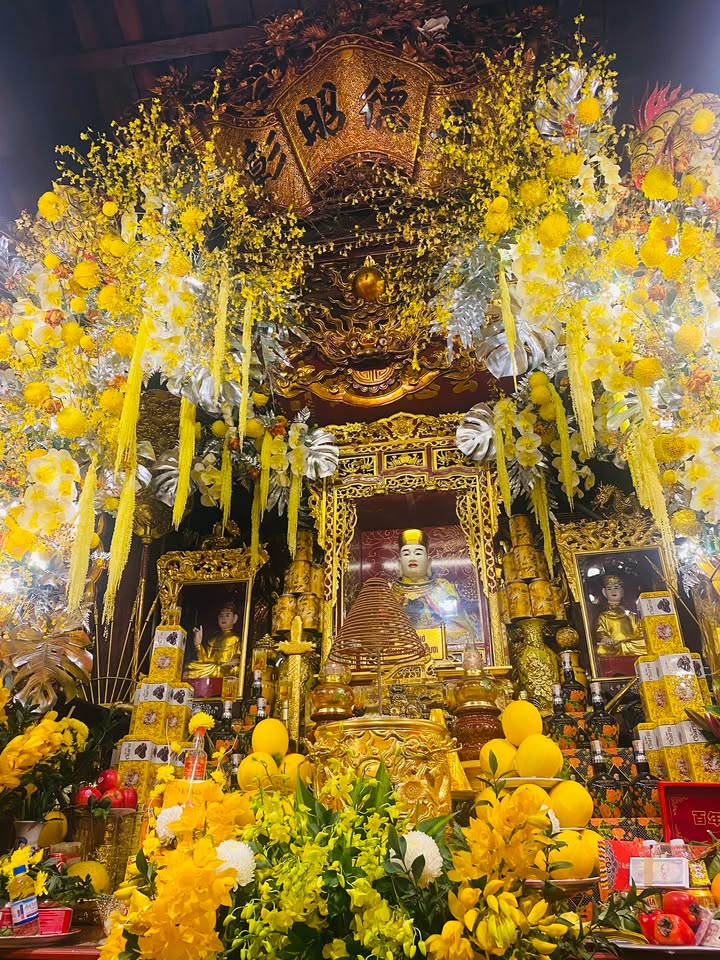 Đất thổ cư 120m² tại Sơn Đông, Hà Nội - Đường ô tô vào tận đất, giá đầu tư!