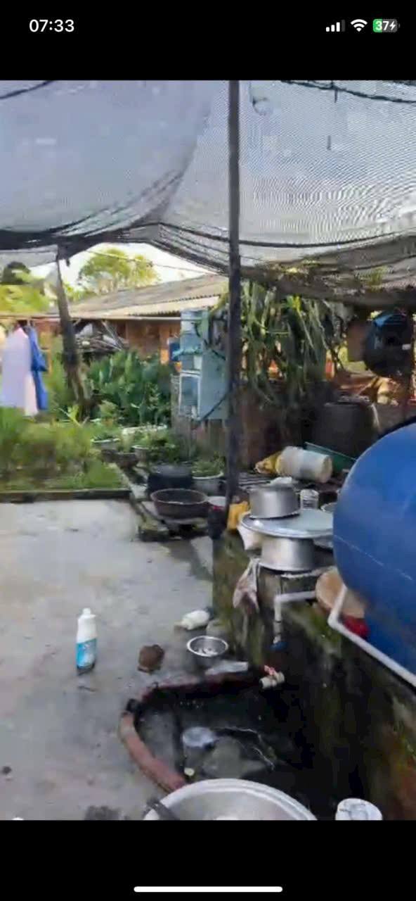 Bán vườn Tân Việt 1800m² giá 1 tỷ - Sổ hồng chính chủ, đường ô tô vào thoải mái!