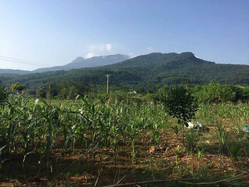 Đất thổ cư 456m² tại thôn 8, xã Ba Trại - Giá tốt, chốt nhanh!