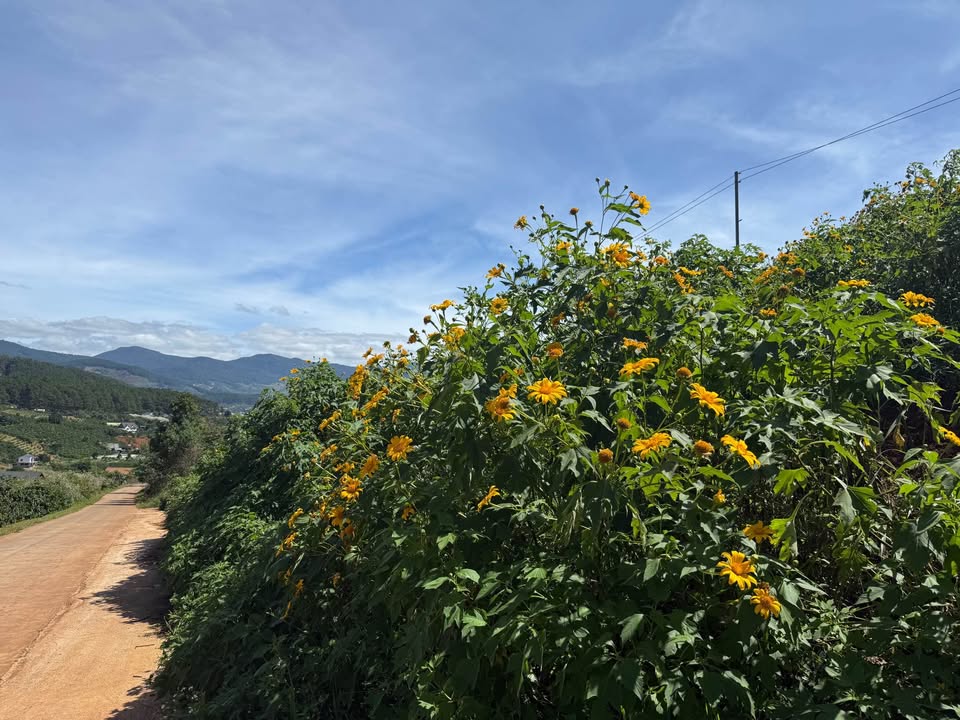 Bán đất Nam Ban – Lâm Hà 1070m² giá 2.88 tỷ - View đẹp, không khí trong lành!