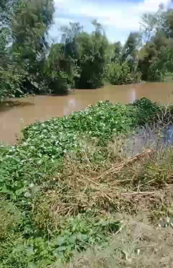 Đất Ruộng 15 Công tại xã Phú Điền, Đồng Tháp - Giá chỉ 4.125 tỷ, cơ hội đầu tư hấp dẫn!