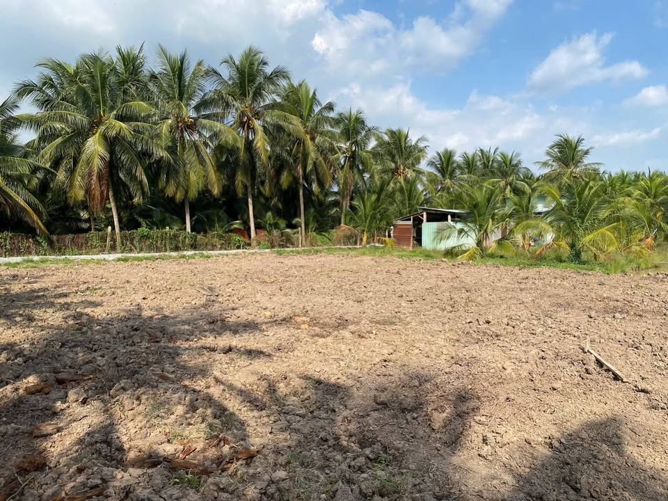 Đất Tân Mỹ Chánh 250m² giá 700 triệu - Đầu tư sinh lời ngay!