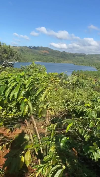 Đất nền Đắk Nông 25,000m² giá 4 tỷ - Sổ đỏ chính chủ, vị trí đẹp gần hồ