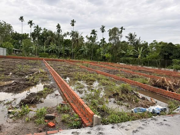 Đất nền Hưng Định, Thuận An 61.100m² giá 4.1 tỷ - Đầu tư sinh lời ngay!