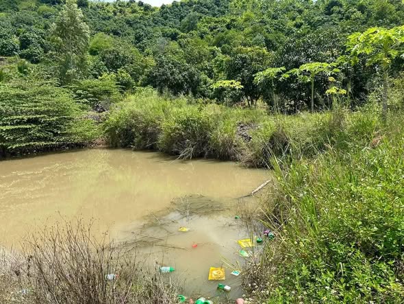 Đất vườn 14 HécTa Diên Lâm - Khánh Hòa chỉ 14 tỷ - Sổ hồng riêng, view đẹp!