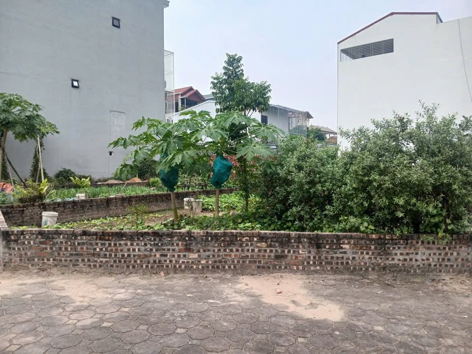 Đất tái định cư Giang Biên 90m² giá 6.48 tỷ - Lô góc 3 mặt thoáng, kinh doanh đỉnh cao!