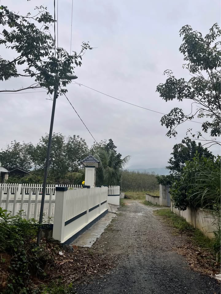 Đất thổ cư Nông Trường Việt Trung 180m² giá 180 triệu - Cơ hội đầu tư tuyệt vời!