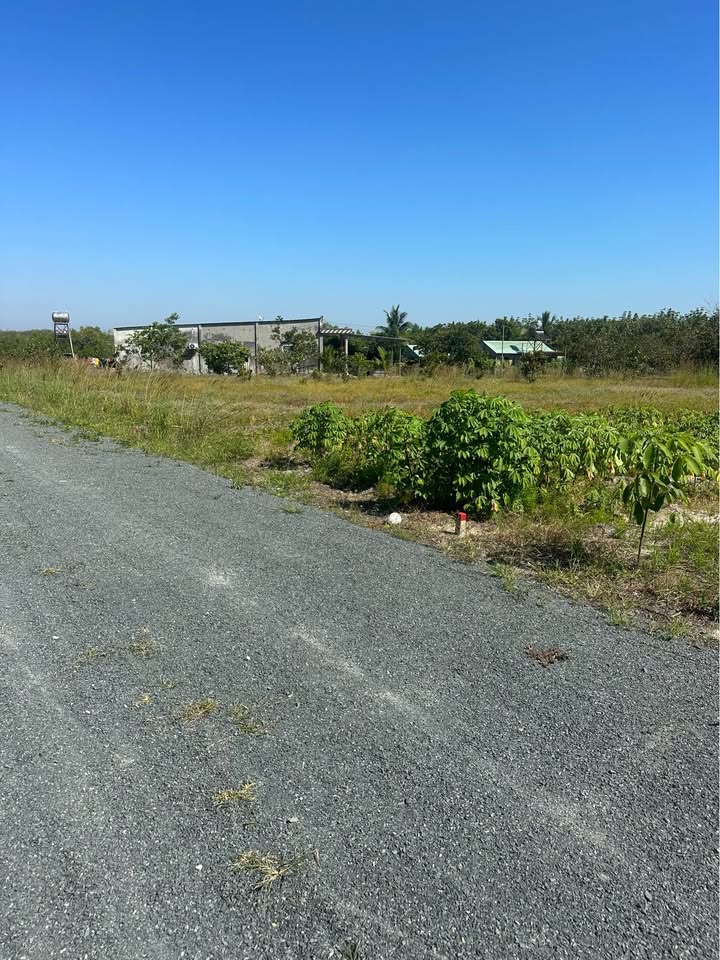 Đất thổ cư Tân Khai Hớn Quản 200m² giá tốt - Cơ hội đầu tư hấp dẫn!