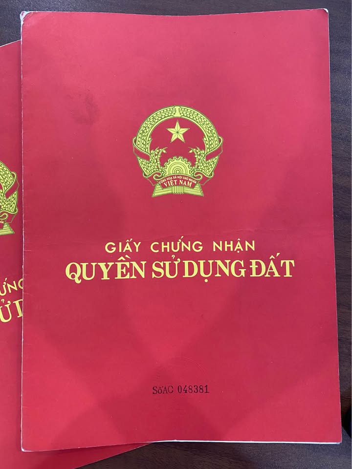 Nhà mặt tiền đường Nguyễn Bỉnh Khiêm 80m² giá 7.5 triệu - Kinh doanh thuận lợi!