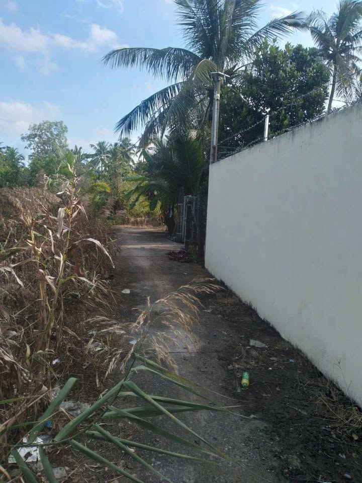 Đất nền Phú Khương, Bến Tre 60m² giá chỉ 150 triệu - Cơ hội đầu tư tuyệt vời!