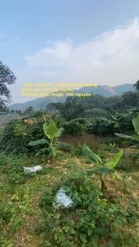 Đất farm 1,8ha tại Phúc Thuận, Thái Nguyên - Lý tưởng cho khu nghỉ dưỡng!