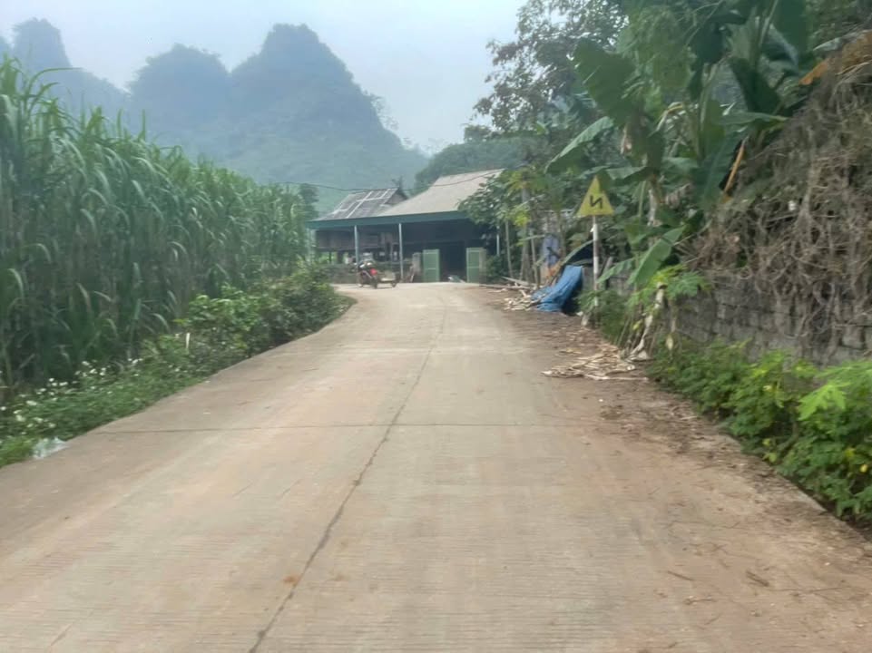Đất Farm Mỹ Hòa, Tân Lạc 4800m² giá 2 tỷ - Đất đẹp như sân bay!