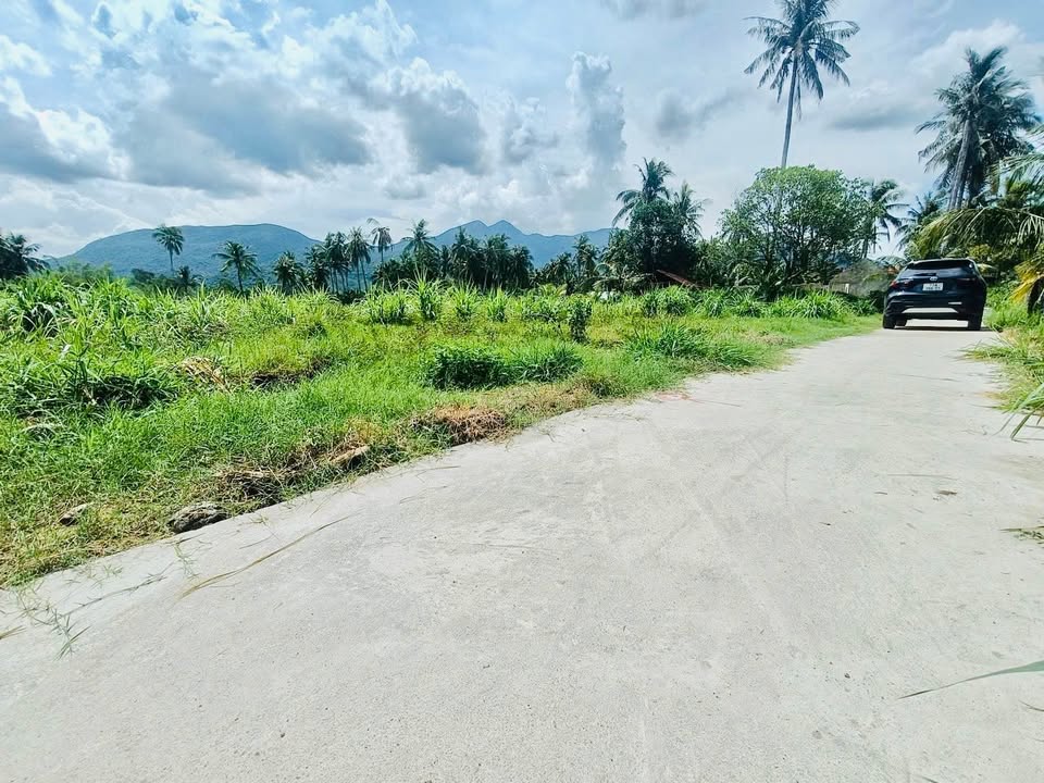 Đất thổ cư 150m² tại Mỹ Hòa, Phù Mỹ - Giá chỉ 155 triệu, sổ hồng lâu dài!