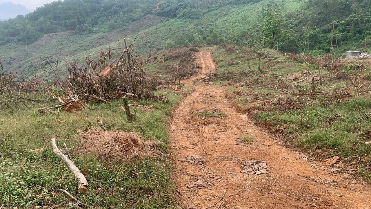 Đất nông nghiệp 1.5ha tại Tú Sơn, Kim Bôi - Giá tốt, sổ đỏ chính chủ!