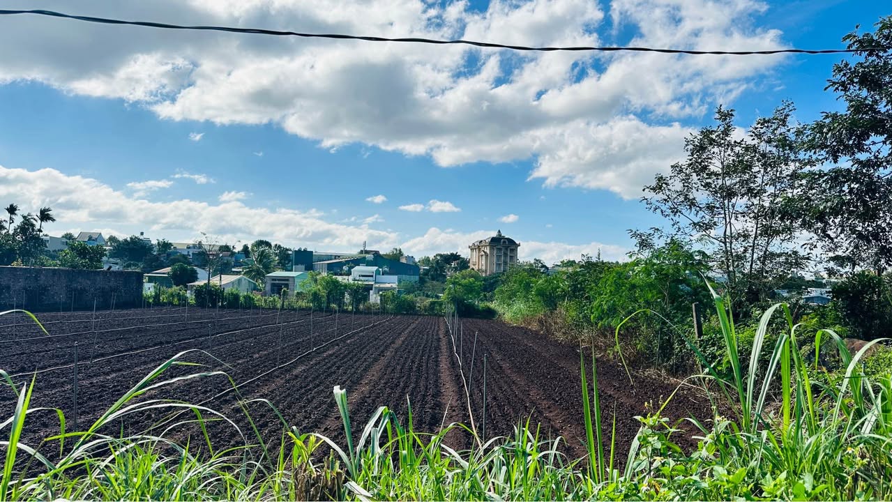 Đất nền 2 mặt tiền Nguyễn Tuân 132m² giá 800 triệu - Vị trí đắc địa tại An Phú!