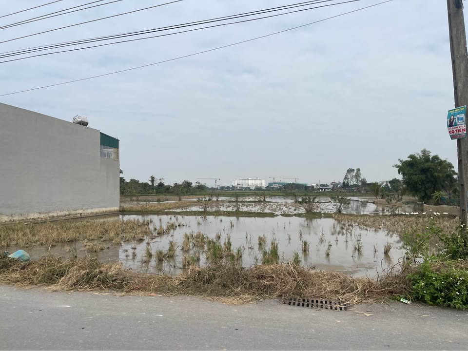 Đất nền Quảng Đông 100m² giá 1.6 tỷ - Cơ hội đầu tư hiếm có!