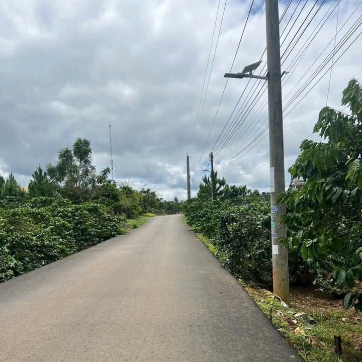 Đất nền Lộc Phát Bảo Lộc 1190m² giá 1.5 tỷ - Cơ hội đầu tư sinh lời!