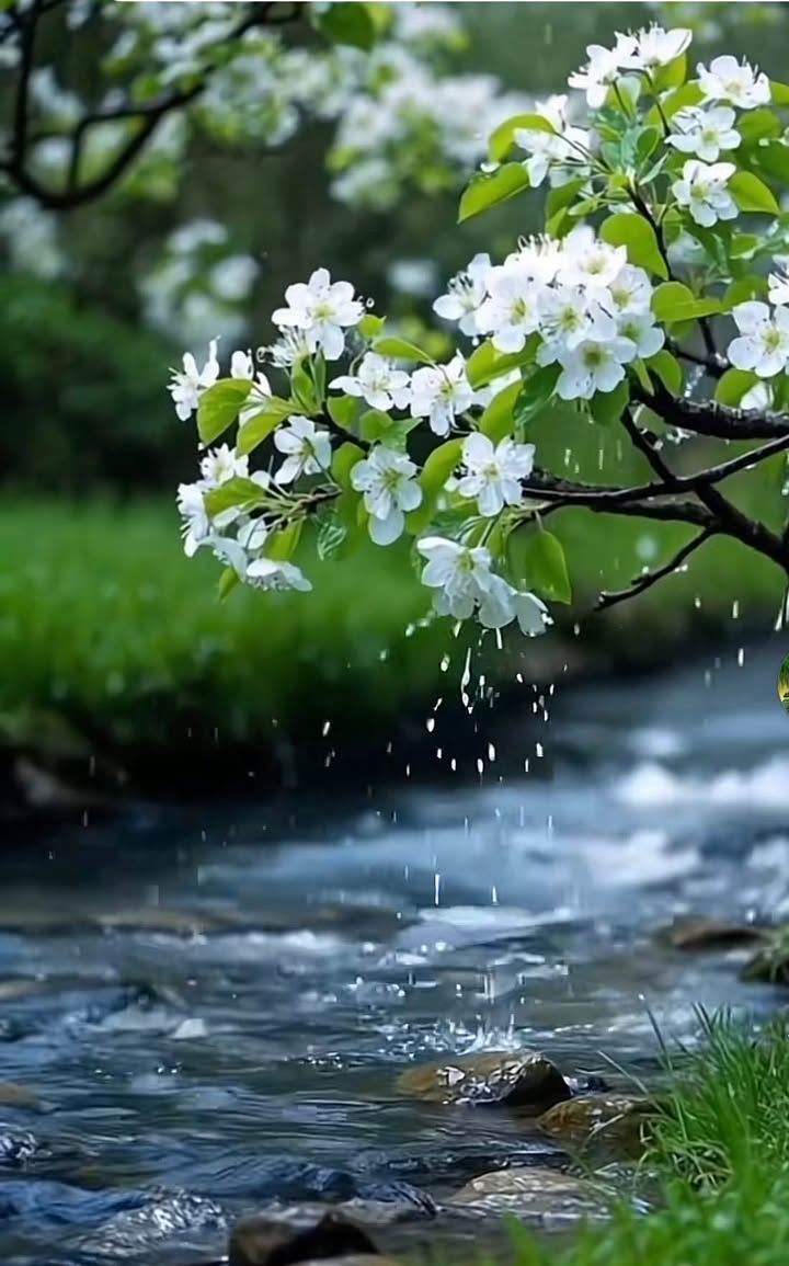 Đất Lộc Nam Bảo Lâm 16.000m² giá 3 tỷ - Đầu tư sinh lời ngay!