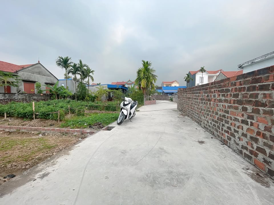 Đất nền Phường Hòa Bình Hải Phòng 63.8m² giá chỉ 1 tỷ - Cơ hội đầu tư hấp dẫn!