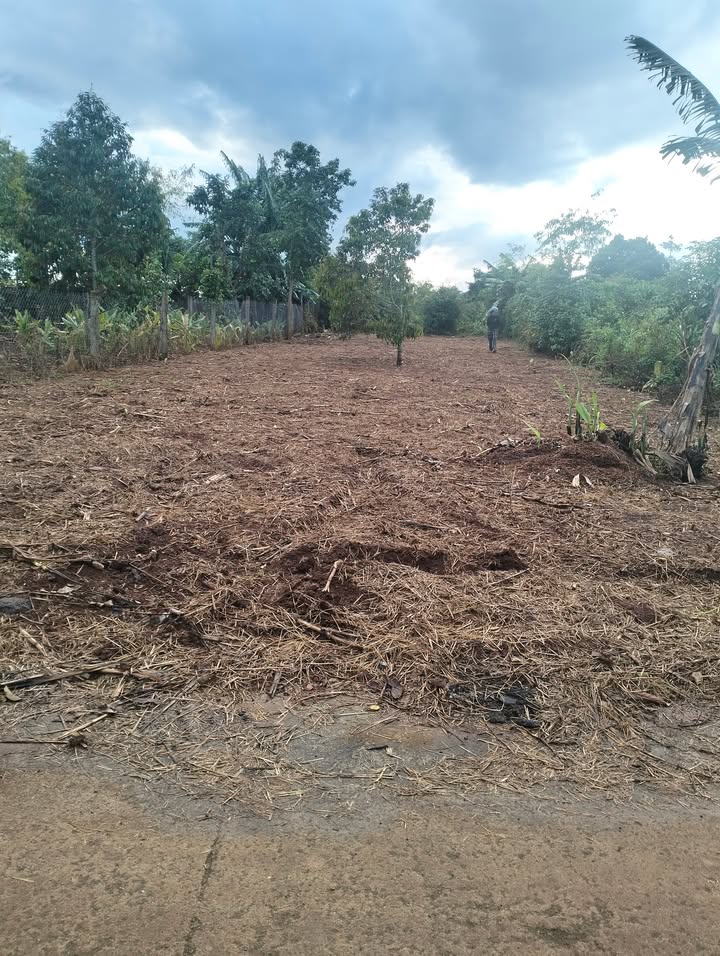 Đất thổ cư Hòa Tiến, Krông Pắc 350m² giá chỉ 700 triệu - Đầu tư sinh lợi ngay!