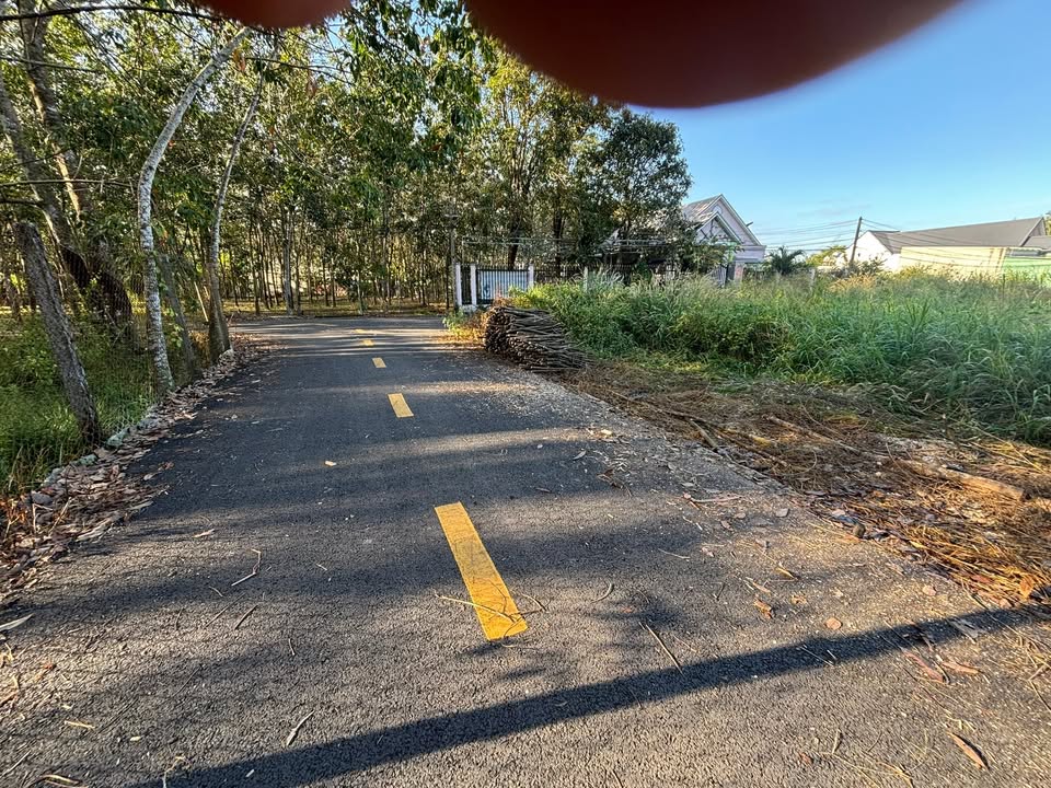 Đất nền mặt tiền ĐT741, xã Phước Hoà, 271m² chỉ 1.7 tỷ - Cơ hội đầu tư tuyệt vời!