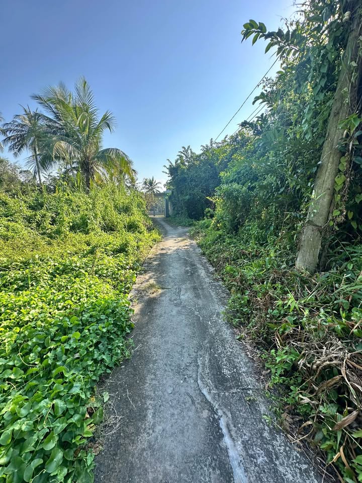 Đất thổ cư Hẻm Đường Huỳnh Châu Sổ - Tân An - 100m² giá 680 triệu - Cơ hội đầu tư hấp dẫn!