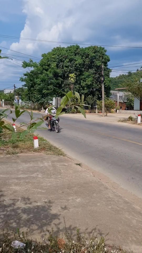 Đất nền mặt tiền Quốc lộ 55, xã Đồng Kho, 600m² giá 6 tỷ - Cơ hội đầu tư hấp dẫn!