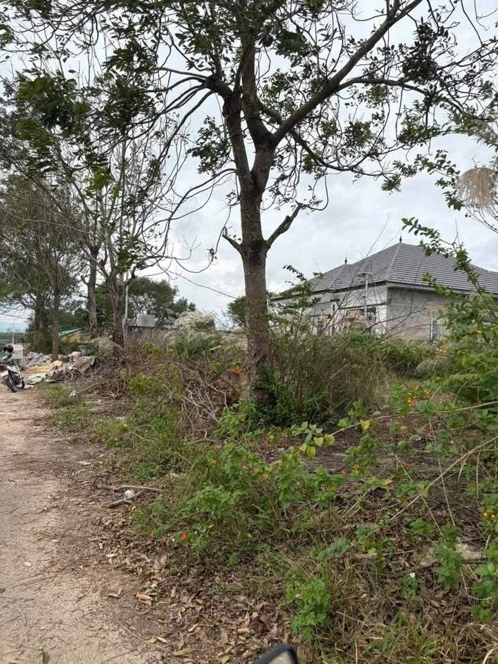 Đất nền Bắc Nghĩa, Đồng Hới 132m² giá 400 triệu - Cơ hội đầu tư không thể bỏ qua!