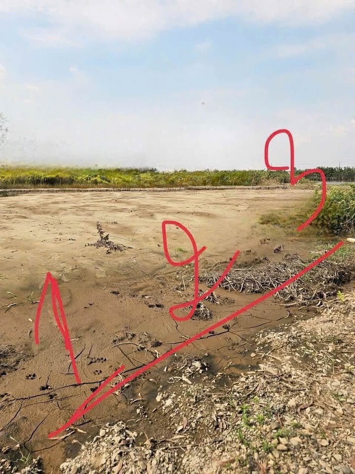 Đất nền chính chủ 105m² xã Hữu Thạnh, Đức Hòa - Giá chỉ 540 triệu!