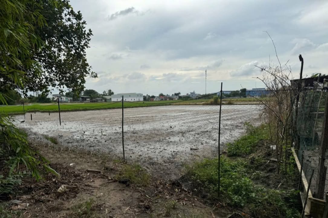 Đất Đức Hòa Đông Long An 2000m² giá 4 tỷ - Vị trí thuận lợi gần đường nhựa!