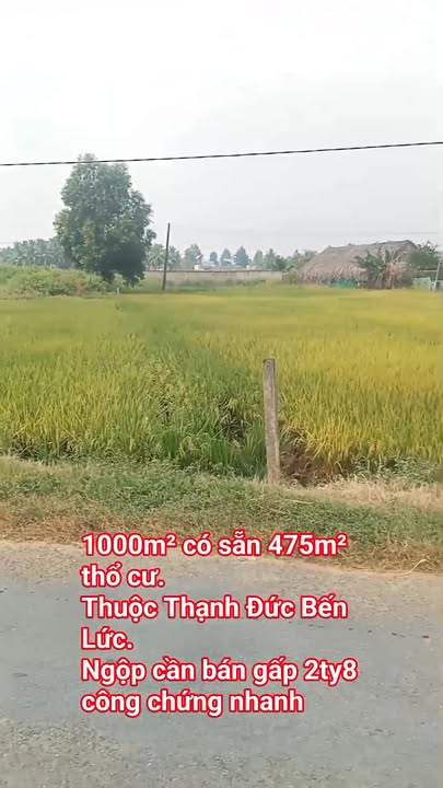 Đất thổ cư 475m² tại xã Thạnh Đức, huyện Bến Lức - Giá chỉ 2.8 tỷ - Cơ hội đầu tư tuyệt vời!