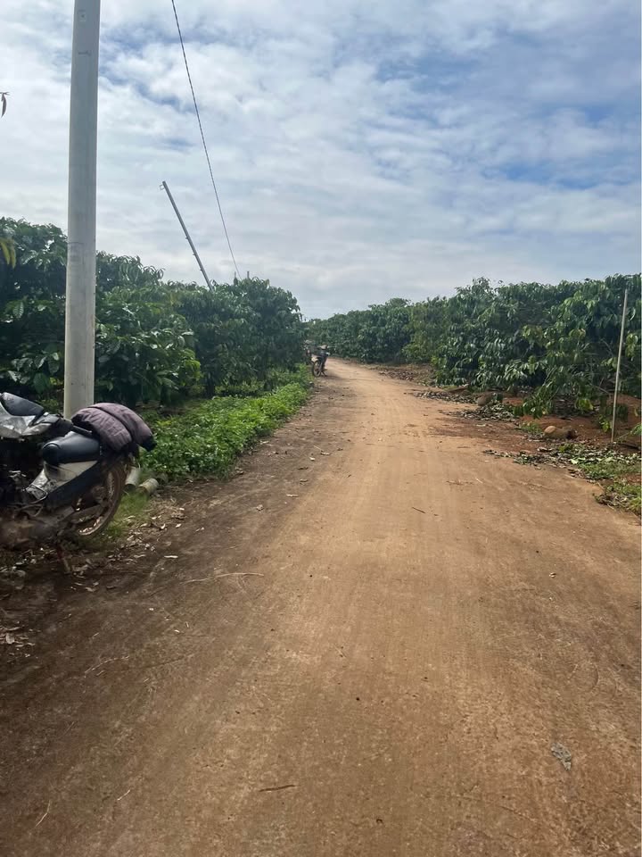 Đất nền Tân Hội 7m² giá 640 triệu - Chính chủ thương lượng ngay!