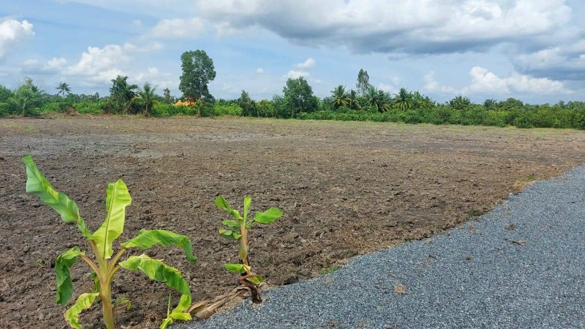 Đất vườn 3517m² tại Thạnh Hòa, Bến Lức, Long An - Giá 3.7 tỷ - Sổ hồng riêng, xe hơi vào tận nơi!