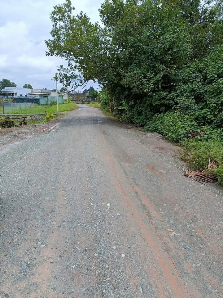 Bán lô đất mặt tiền Nguyễn Văn Siêu, Phường 5, Tân An, Long An - Đầu tư sinh lời hấp dẫn!