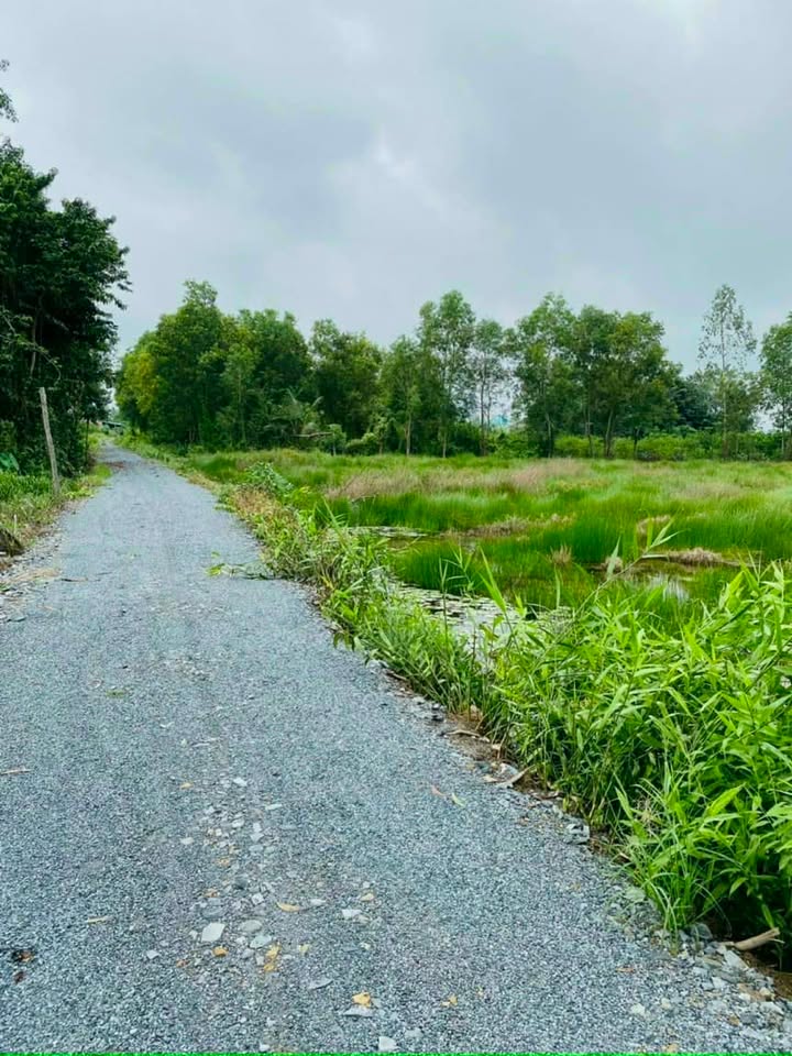 Đất thổ cư và vườn tại Thạnh Hòa, Bến Lức 5263m² giá chỉ 5 tỷ - Cơ hội đầu tư tuyệt vời!