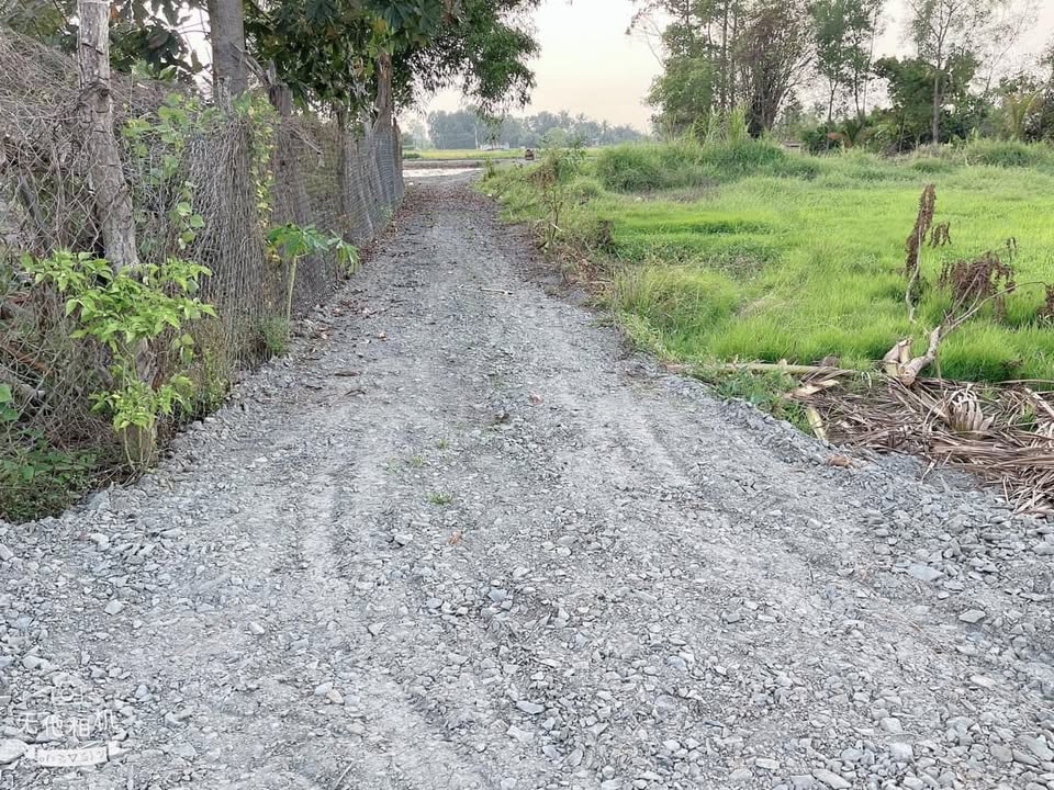 Đất thổ cư 715m² tại Ấp 6 Tân Bình, Tân Trụ - Giá chỉ 555 triệu, đầu tư lý tưởng!