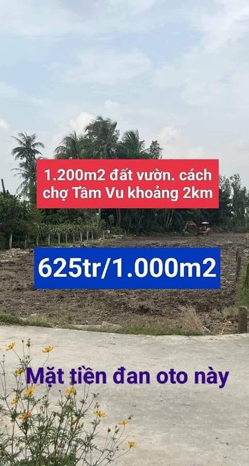 Đất vườn 1.200m² xã Hiệp Thạnh, Châu Thành, Long An - Giá chỉ 625 triệu!