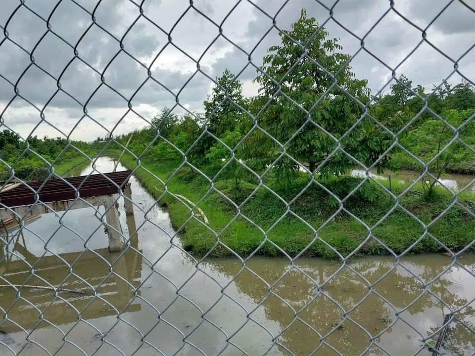 Đất Farm 20.000m² tại Định Môn, Thới Lai - Đầu tư sinh lời ngay!