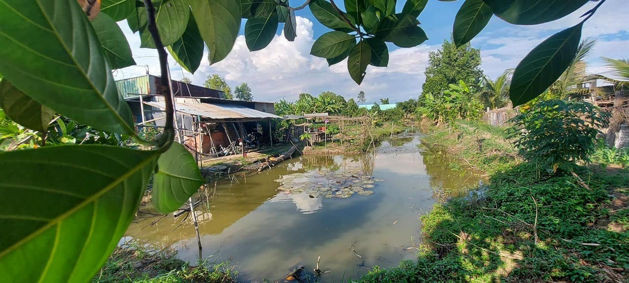 Đất vườn Cần Giuộc 2700m² giá 6.2 tỷ - Cơ hội đầu tư tuyệt vời!