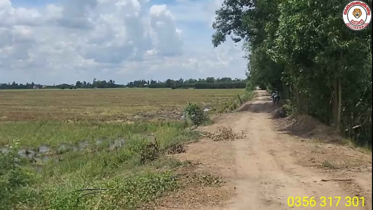 Đất thổ cư 3000m² tại Thạnh Hưng, Kiến Tường - Giá chỉ 520 triệu!