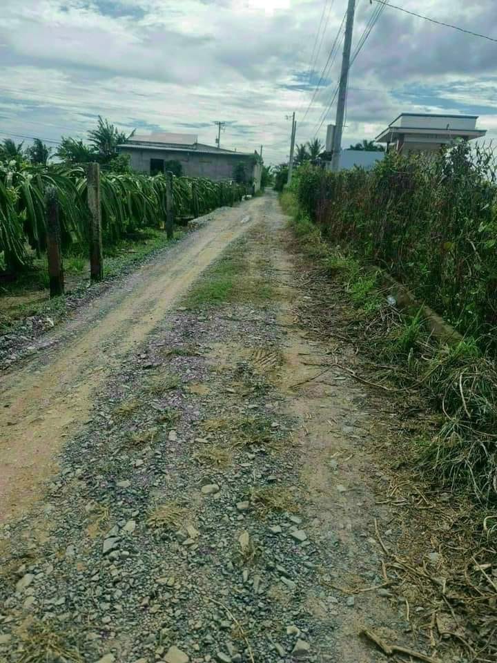 Đất thổ cư Long Trì, Châu Thành, Long An 3000m² - Giá chỉ 1.25 tỷ, sổ đỏ chính chủ!