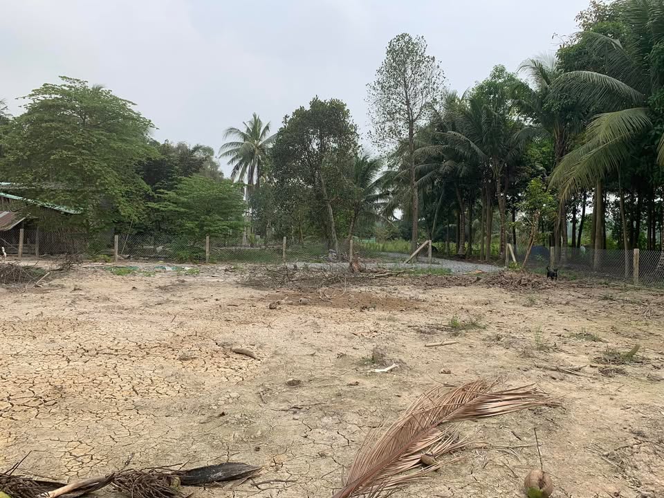 Đất vườn 970m² tại Nhựt Chánh, Bến Lức - Đầu tư lý tưởng chỉ 820 triệu!