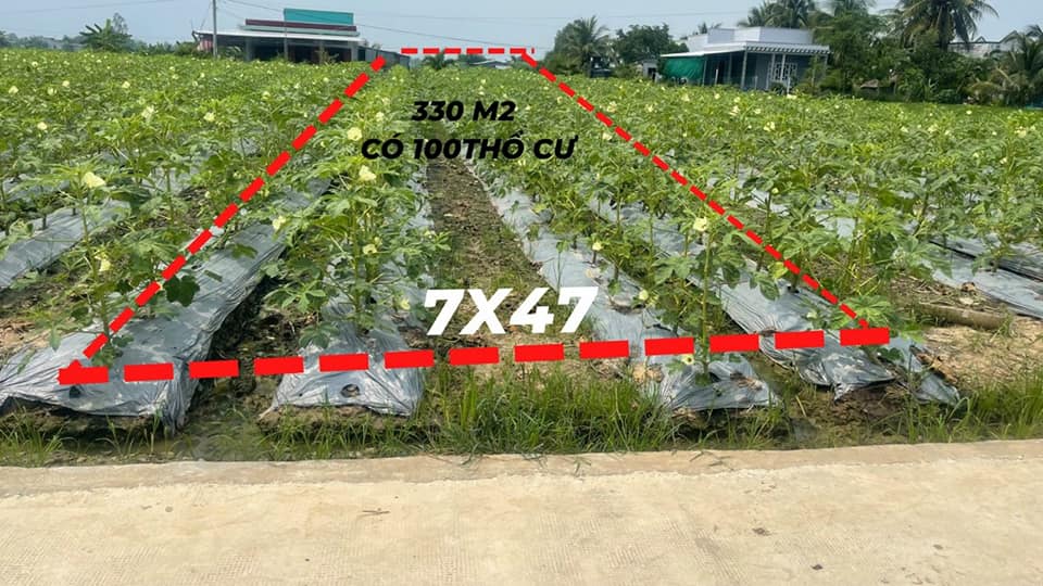 Đất thổ cư 330m² xã Thành Công - Gò Công Tây chỉ 895 triệu - Tiềm năng tăng giá cao!