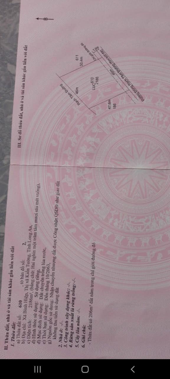 Đất nền đầu tư Bình Hiệp Kiến Tường 4600m² - Mặt tiền 92m, giá tốt