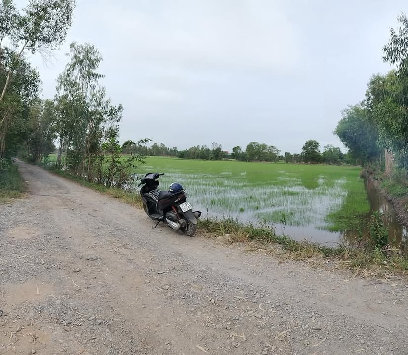 Đất nền xã Tân Phú, Đức Hòa, Long An 9627m² giá 9.5 tỷ - Đầu tư sinh lời lý tưởng!