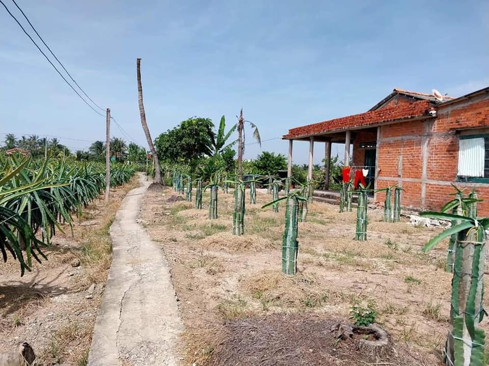 Đất nền 439m² tại Ấp Long Hiệp, Chợ Gạo - Giá chỉ 390 triệu VND