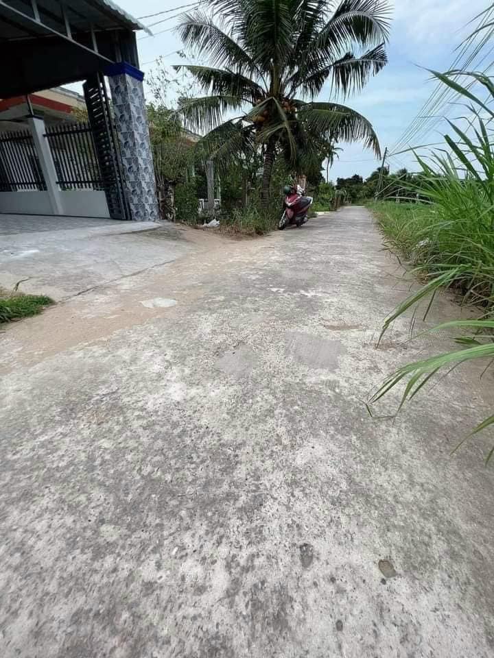 Nhà hẻm 646, phường 7, Tân An 152m² giá 2.05 tỷ - Chính chủ bán nhanh!